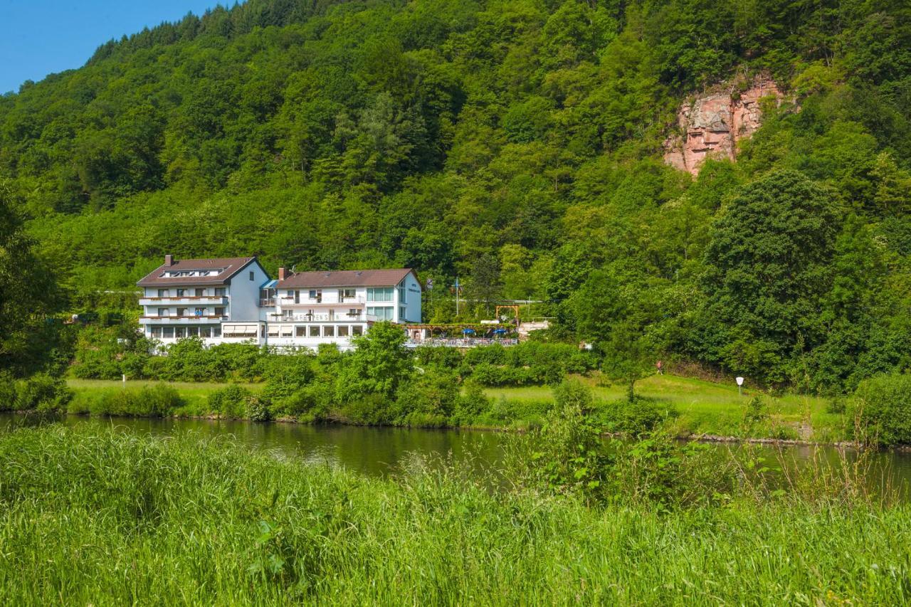 Vierburgeneck 3* Neckarsteinach